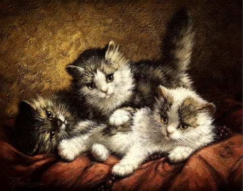 котята картина на холсте