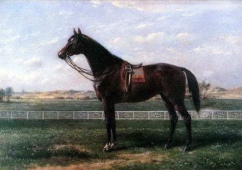 лошадь картина на холсте