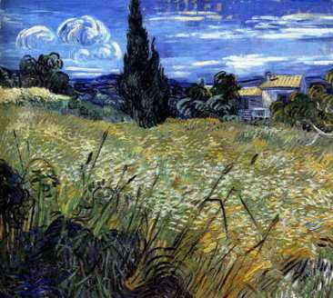 Пшеничное поле с кипарисом